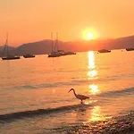 Olivenblatt 4 * Μπαρντολίνο