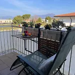 Olivenblatt 4 *