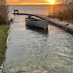 Olivenblatt 4 *