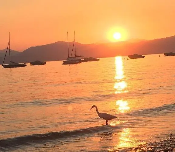 Olivenblatt 4 * Μπαρντολίνο