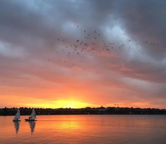 Olivenblatt 4 باردولينو