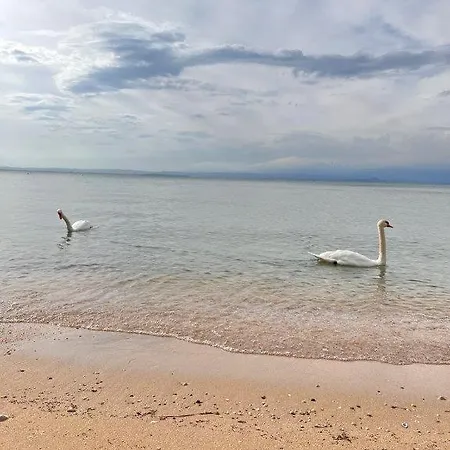 דירה Olivenblatt 4 *