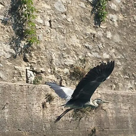 דירה Olivenblatt 4