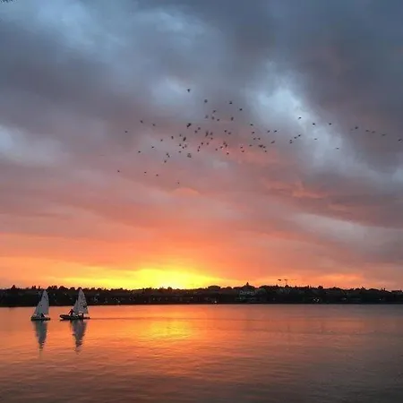 Olivenblatt 4 ברדולינו