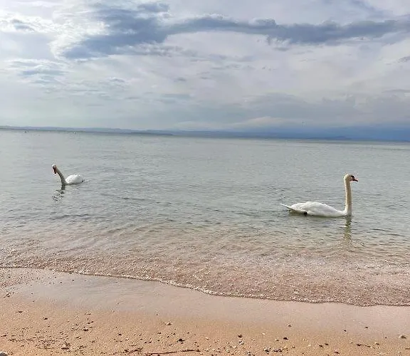 Appartement Olivenblatt 4 *