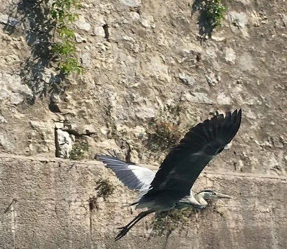 Appartement Olivenblatt 4